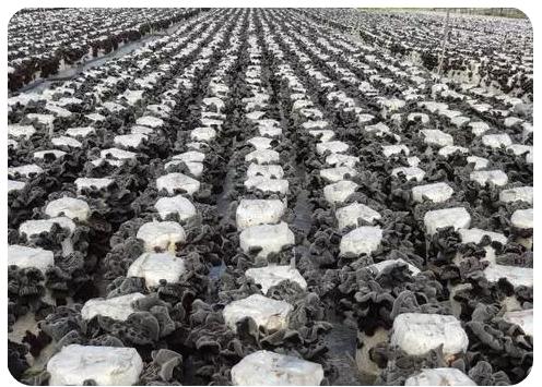 圖片關鍵詞 圖片關鍵詞